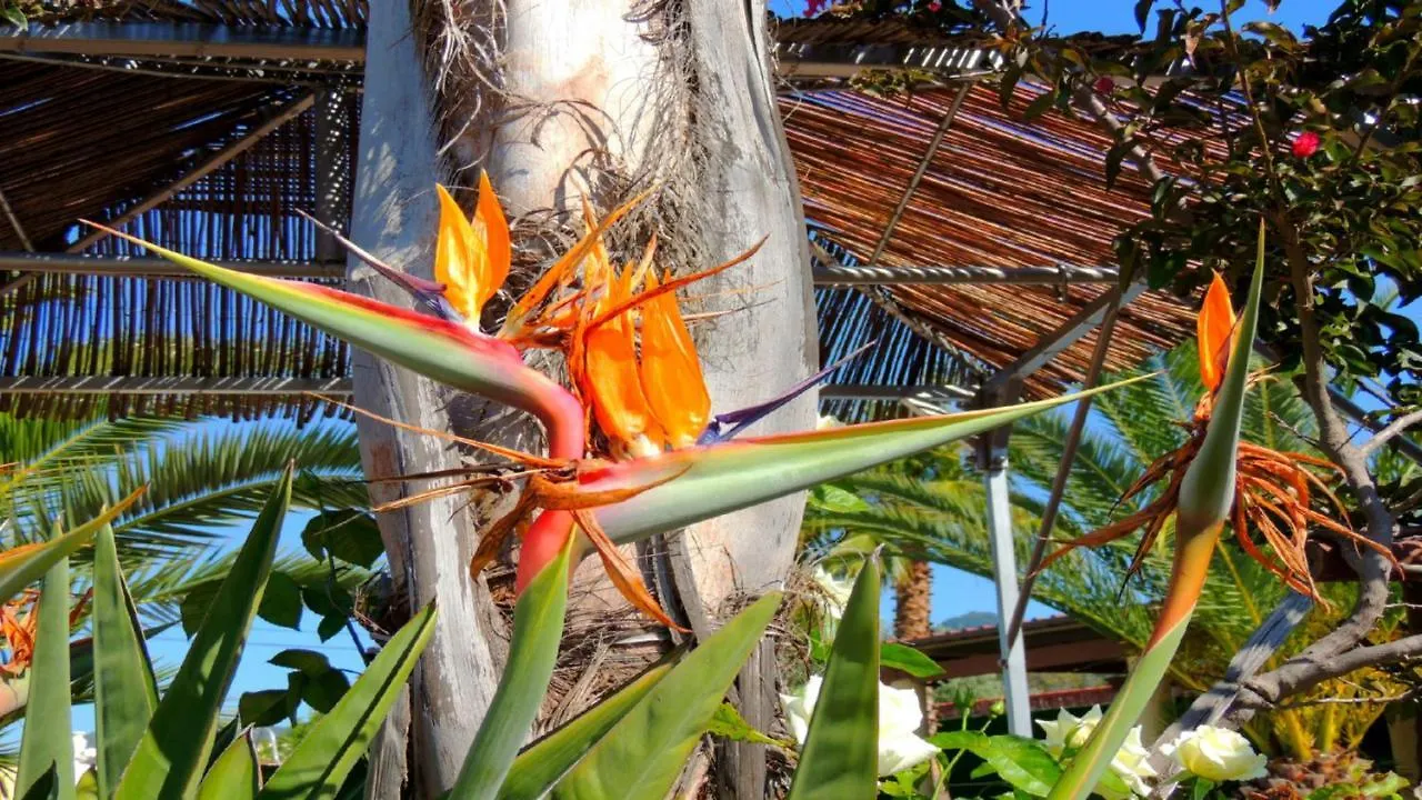 Vacation Rental Albatros Villa & Glamping Spain Malaga Apartment